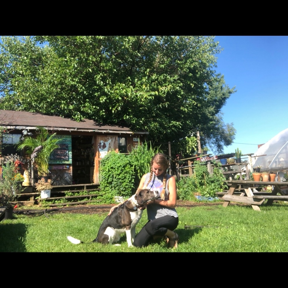 Meet your Posher, Natasha